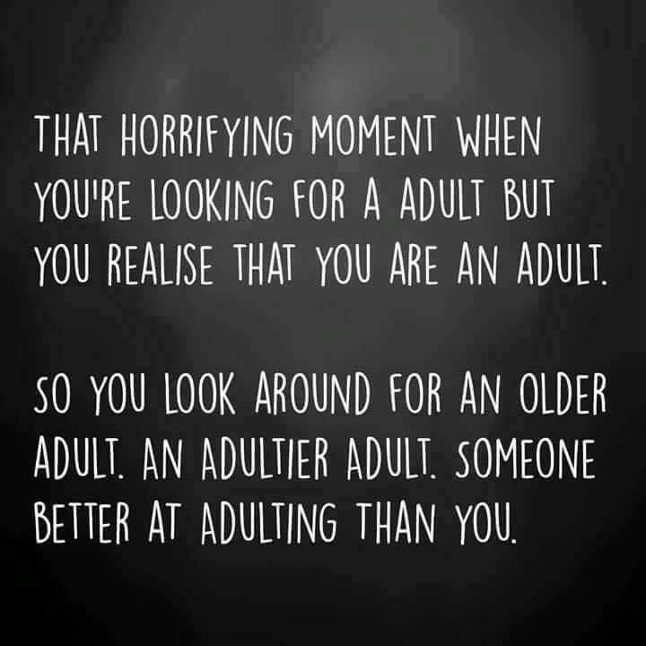 looking-for-an-adult-funny-daily-quotes-sayings-pictures-the-daily-struggle