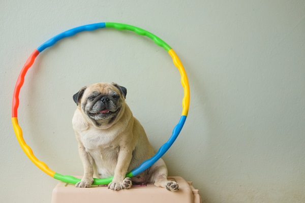 The Amazing Benefits Of Hula Hooping Daily The Daily Struggle 