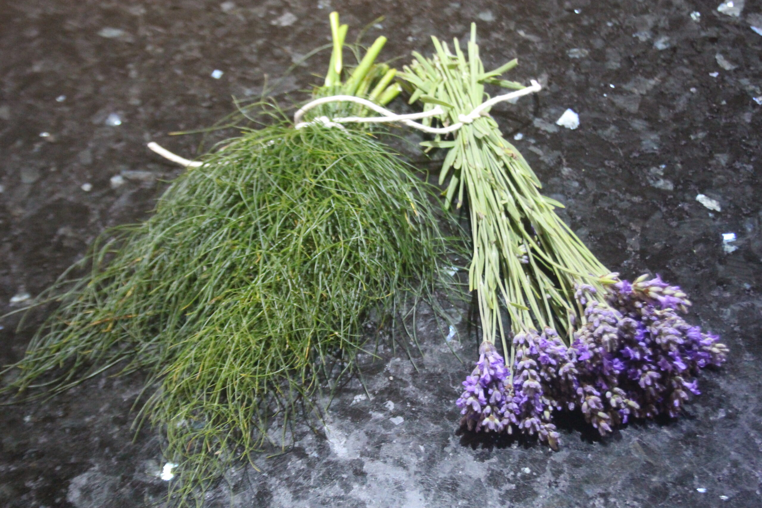 air drying herbs