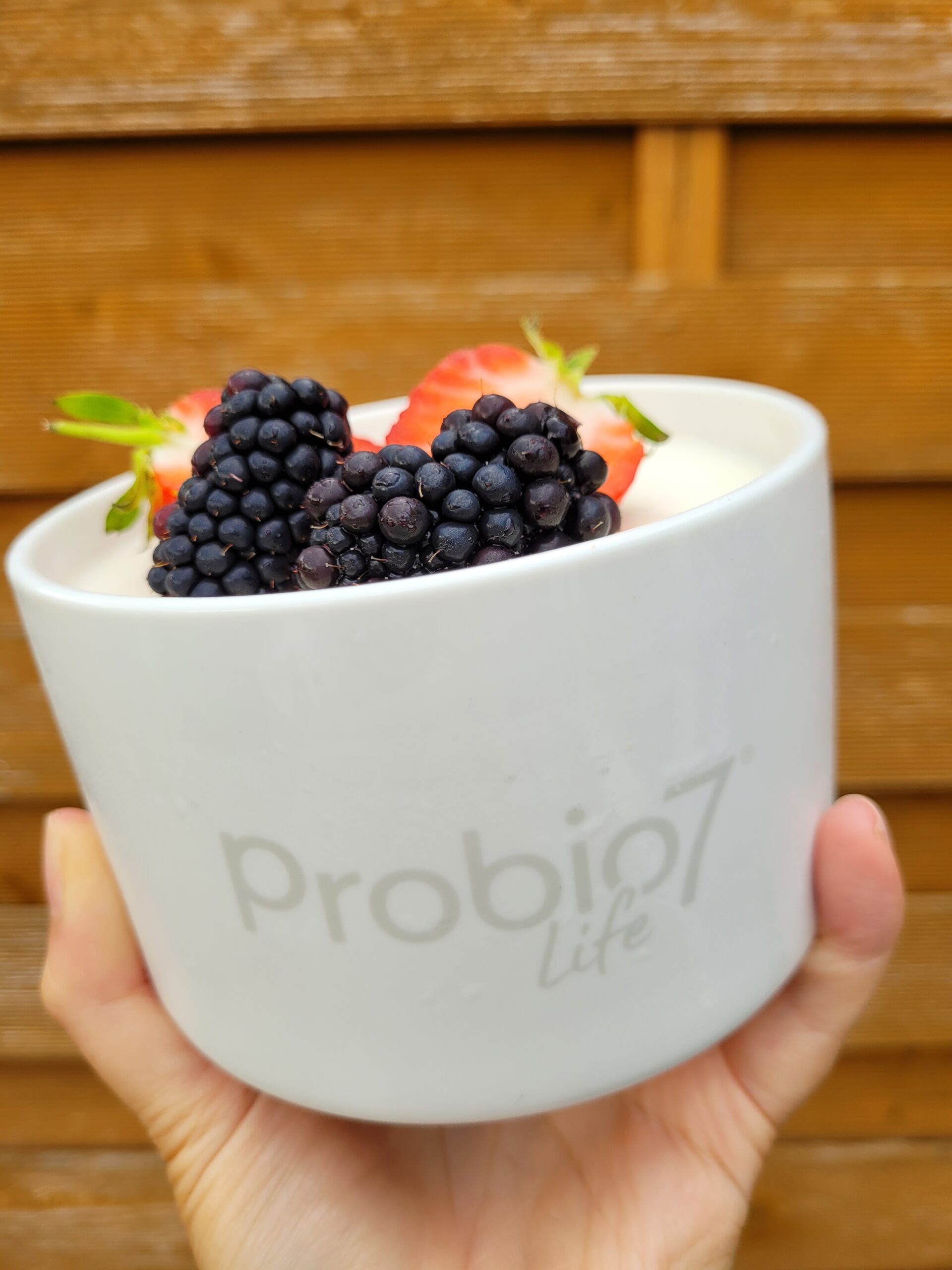 Probio7 Life - Probiotic Yogurt Maker Review ⋆ A Rose Tinted World